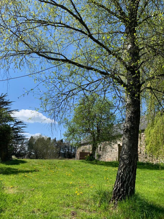Domaine De La Blanche Hermine Plounerin المظهر الخارجي الصورة