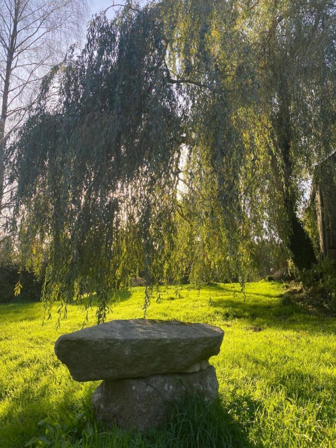 Domaine De La Blanche Hermine Plounerin المظهر الخارجي الصورة