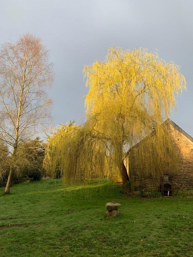 Domaine De La Blanche Hermine Plounerin المظهر الخارجي الصورة