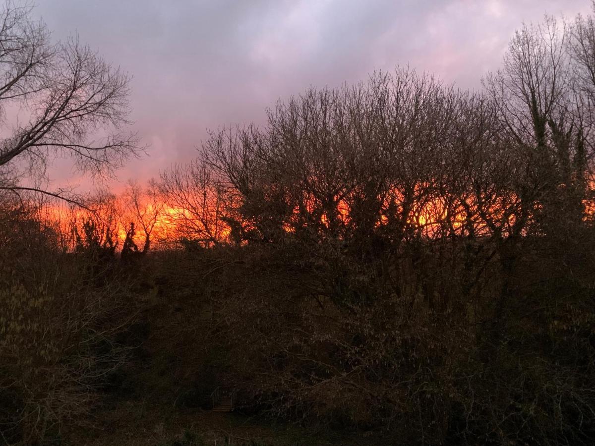 Domaine De La Blanche Hermine Plounerin المظهر الخارجي الصورة