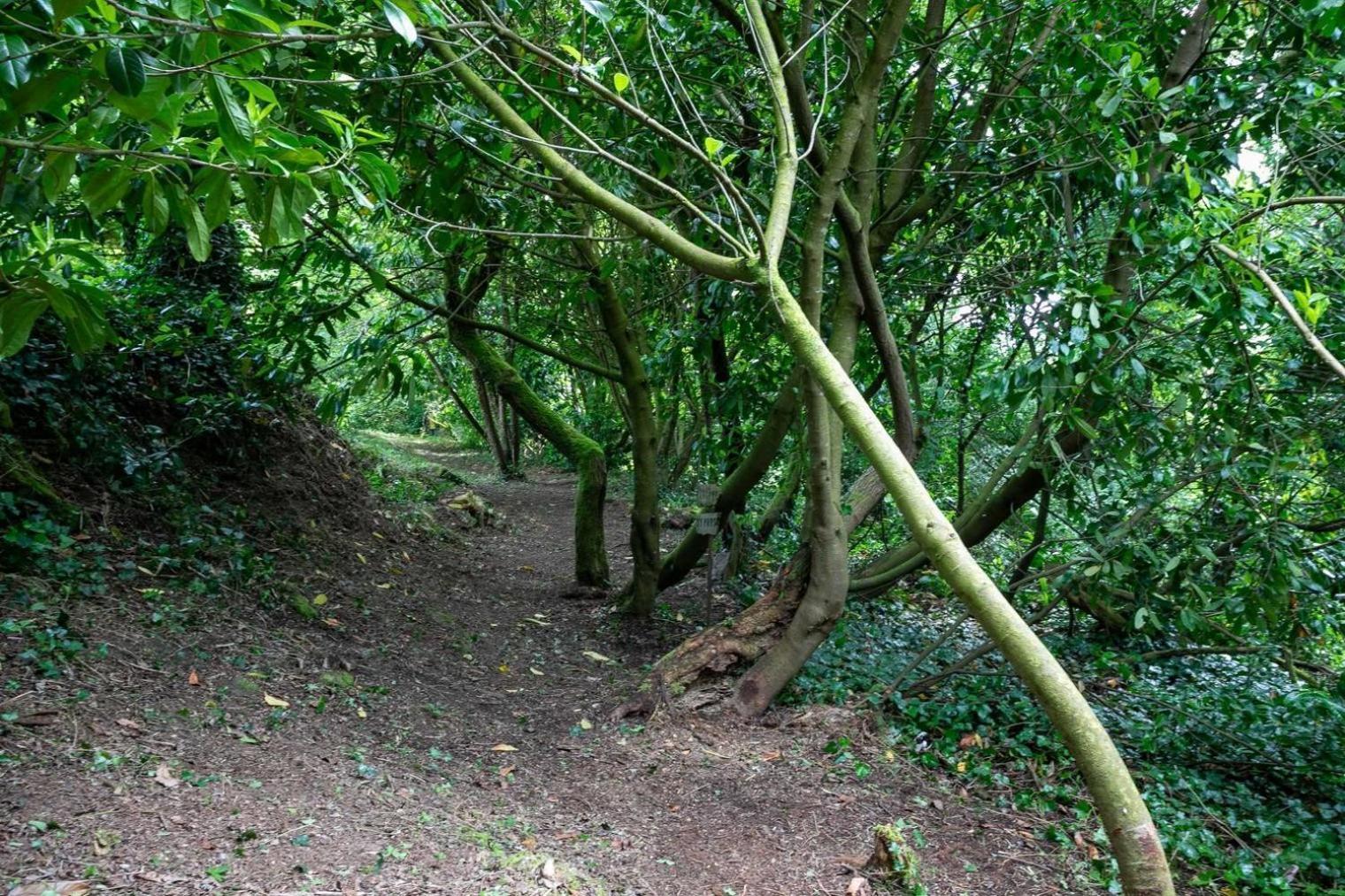Domaine De La Blanche Hermine Plounerin المظهر الخارجي الصورة